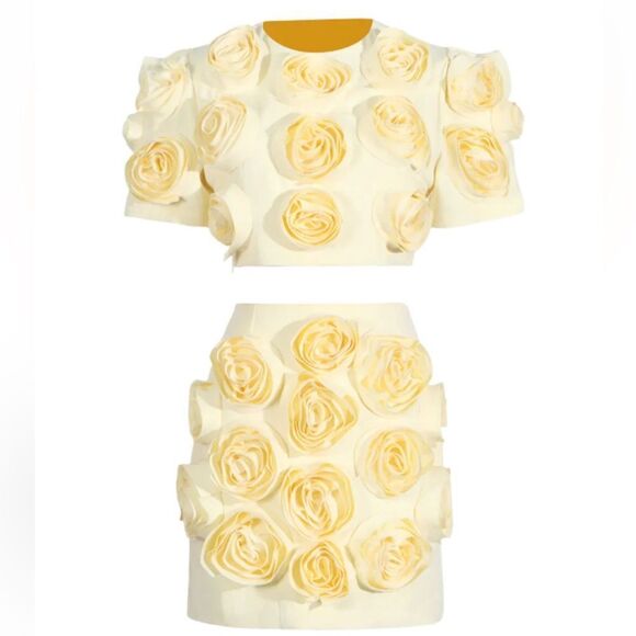 NWT Luxe Dress Rose-appliqué Cropped Top / Skirt Set In Gelb Yellow Large - Picture 12 of 16